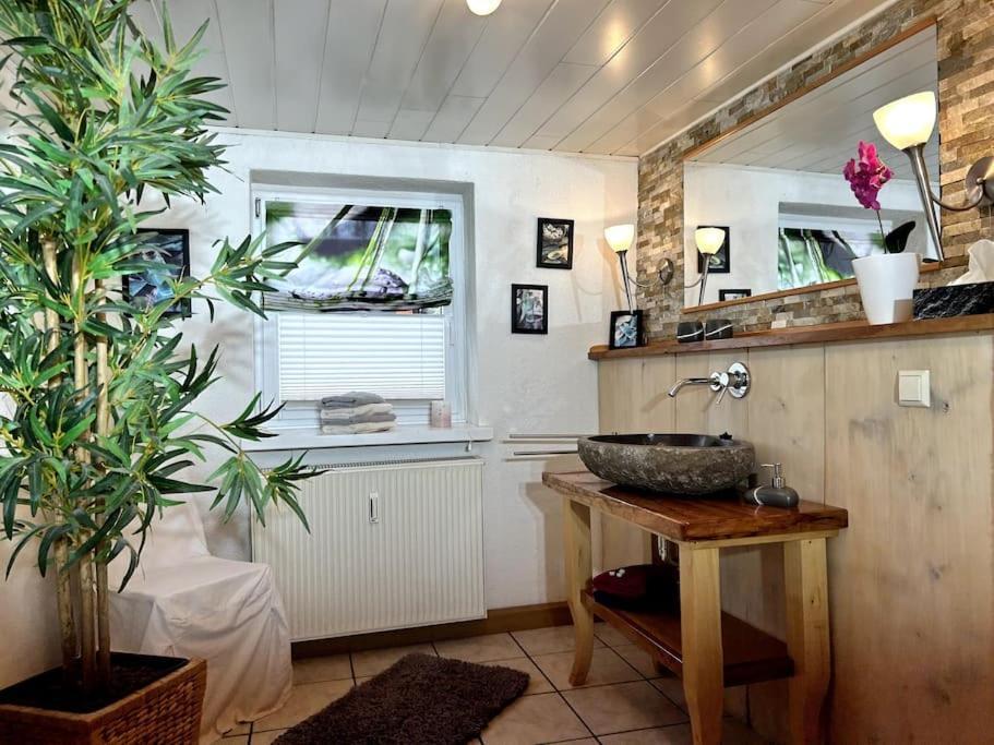 Rustikales Studio-Apartment Blockstube Im Haus Selma Großschönau Eksteriør bilde